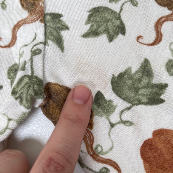 Burt's Bees Baby 18M Organic Cotton Pumpkin Print Pajamas Set Long Sleeve Fall - Picture 4 of 6